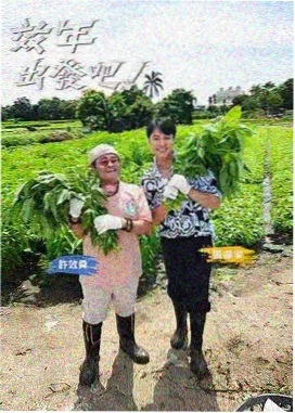 周末不打烊 更新